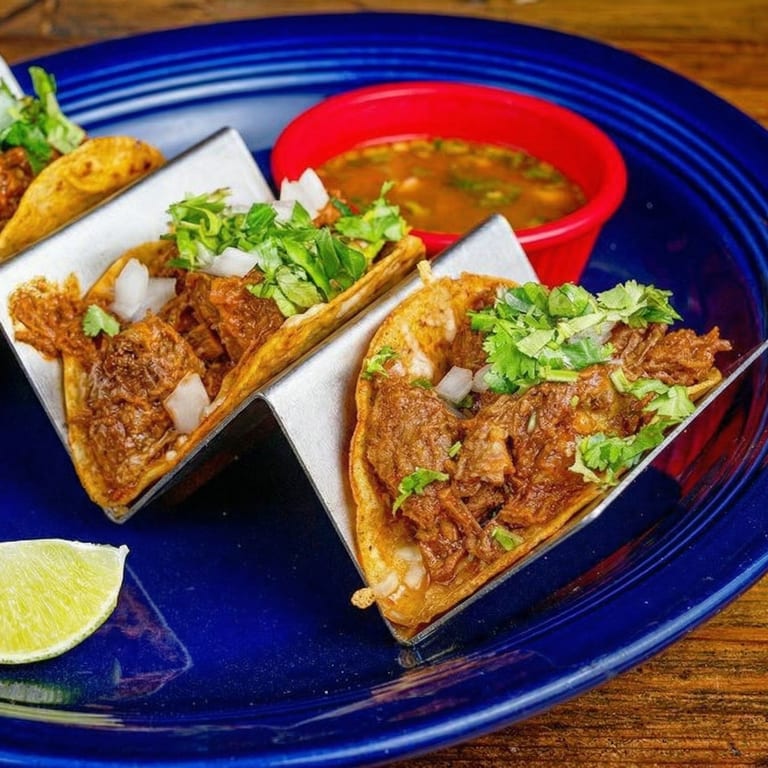 Discover Our Birria Delights